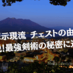 薩摩示現流 チェストの由来を解説！最強剣術の秘密に迫る