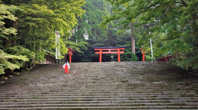 霧島神宮と霧島神社の違いとは？知られざる歴史と意外な秘密を紹介！